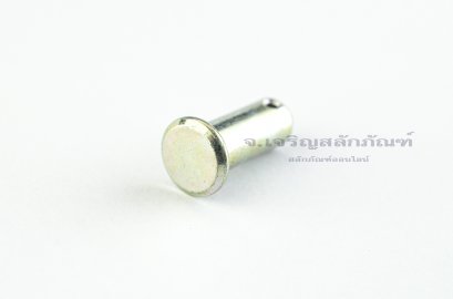สลักหัวแบนกลม-ปิ๊นหัวแบน (Steel Clevis Pin) ขนาด 8x20