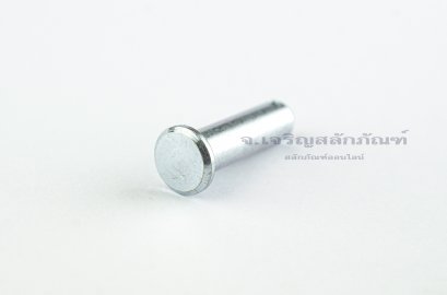 สลักหัวแบนกลม-ปิ๊นหัวแบน (Steel Clevis Pin) ขนาด 8x30