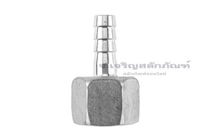 ข้อต่อหางไหลสแตนเลส เกลียวในเสียบสาย (เกลียวใน x หางไหล) ขนาด 1/2" x 10 mm