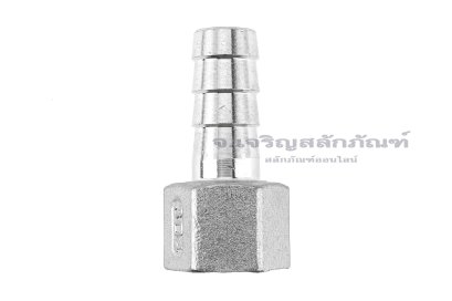 ข้อต่อหางไหลสแตนเลส เกลียวในเสียบสาย (เกลียวใน x หางไหล) ขนาด 1/2" x 15 mm
