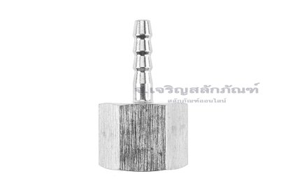 ข้อต่อหางไหลสแตนเลส เกลียวในเสียบสาย (เกลียวใน x หางไหล) ขนาด 1/2&quot; x 6 mm