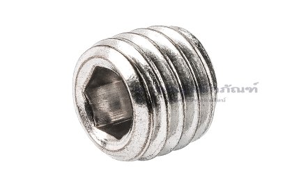 น็อตตัวหนอนสแตนเลส ทรงปลายแหลม M12x12