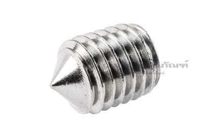 น็อตตัวหนอนสแตนเลส ทรงปลายแหลม M12x16