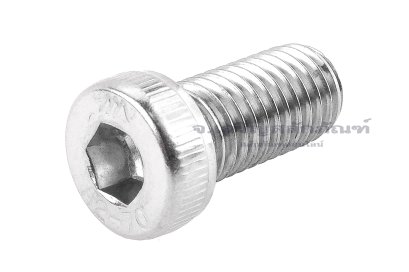 น็อตหัวจมหัวเตี้ยพิเศษ สแตนเลส M12x25