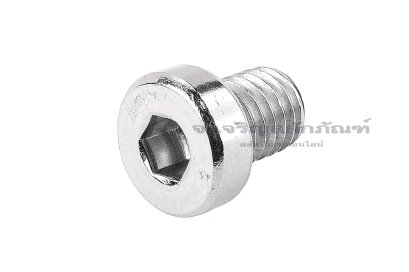 น็อตหัวจมหัวเตี้ยพิเศษ สแตนเลส M8x10