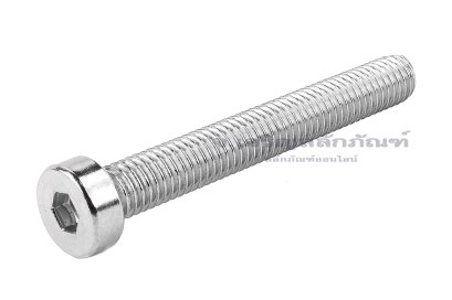 น็อตหัวจมหัวเตี้ยพิเศษ สแตนเลส M8x60