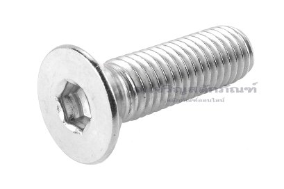 น็อตหัวจมเตเปอร์สแตนเลส 1/2"x1.3/4" เกลียว 13 (UNC/BSW) เกลียวตลอดFS