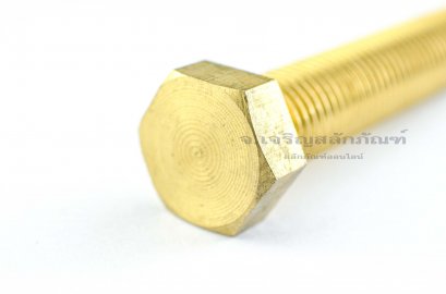 น็อตทองเหลืองหัวเหลี่ยม M16x80