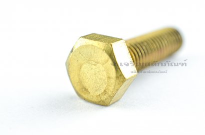 น็อตทองเหลืองหัวเหลี่ยม M8x35