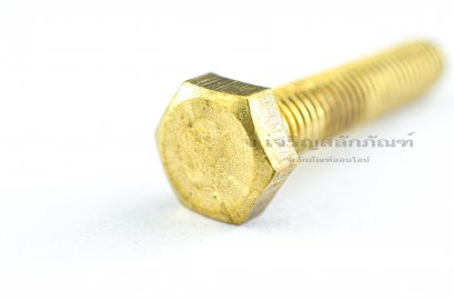 น็อตทองเหลืองหัวเหลี่ยม M8x40