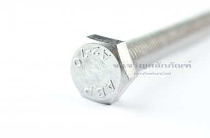 น็อตหัวเหลี่ยมสแตนเลส Stainless Steel Hex Bolt M12x110