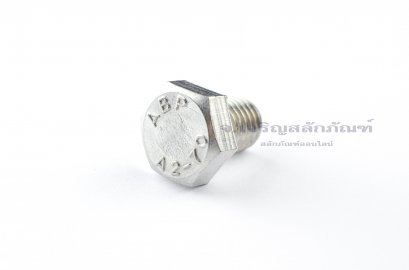 น็อตหัวเหลี่ยมสแตนเลส Stainless Steel Hex Bolt M12x15