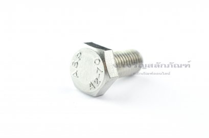 น็อตหัวเหลี่ยมสแตนเลส Stainless Steel Hex Bolt M12x25
