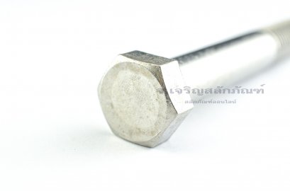 น็อตหัวเหลี่ยมสแตนเลส Stainless Steel Hex Bolt M16x110