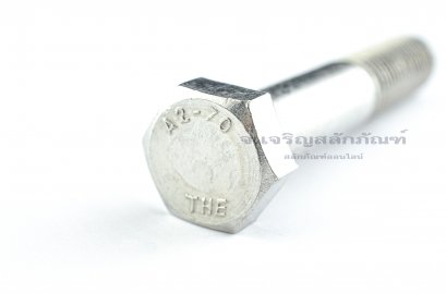 น็อตหัวเหลี่ยมสแตนเลส Stainless Steel Hex Bolt M16x90