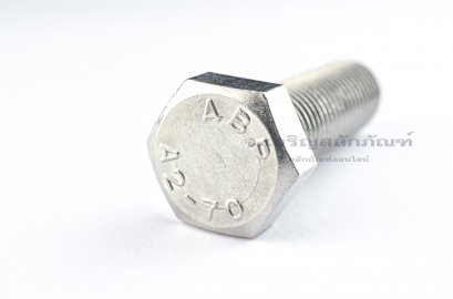 น็อตหัวเหลี่ยมสแตนเลส Stainless Steel Hex Bolt M20x65 เกลียวตลอด
