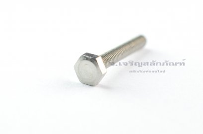 น็อตหัวเหลี่ยมสแตนเลส Stainless Steel Hex Bolt M3x20