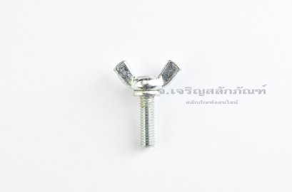 สกรูน็อตหางปลา M6x20