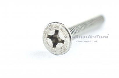 น็อตหัวเตเปอร์แฉกสแตนเลส M6x40