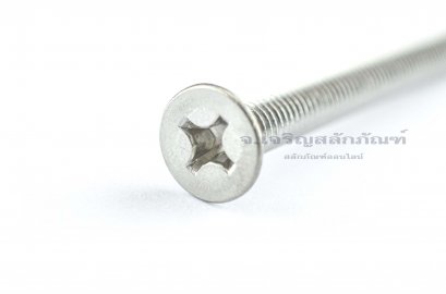 น็อตหัวเตเปอร์แฉกสแตนเลส M6x60