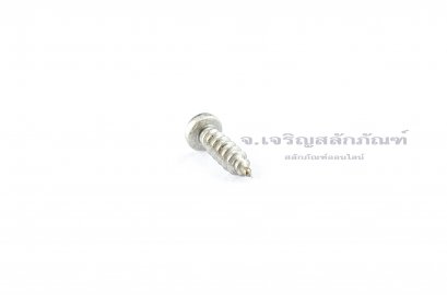 สกรูเกลียวปล่อยสแตนเลสหัวกลมแฉก 3.5x12