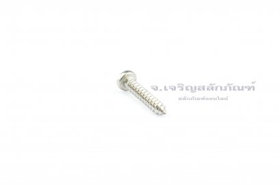 สกรูเกลียวปล่อยสแตนเลสหัวกลมแฉก 3x16