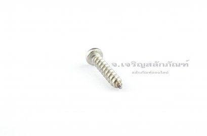สกรูเกลียวปล่อยสแตนเลสหัวกลมแฉก 6x25