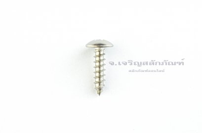 สกรูเกลียวปล่อยสแตนเลสหัวร่มแฉก 5x20