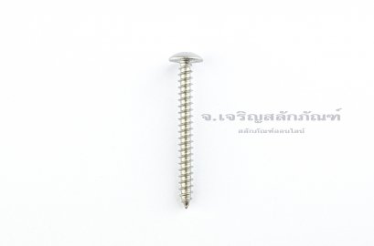 สกรูเกลียวปล่อยสแตนเลสหัวร่มแฉก 5x50