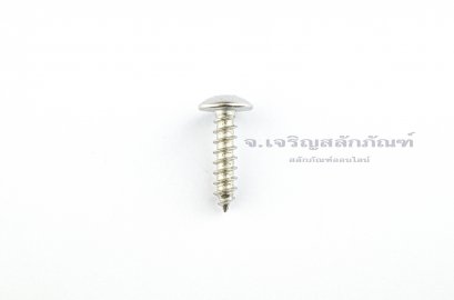 สกรูเกลียวปล่อยสแตนเลสหัวร่มแฉก 6x25