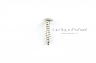 สกรูเกลียวปล่อยสแตนเลสหัวร่มแฉก 6x30