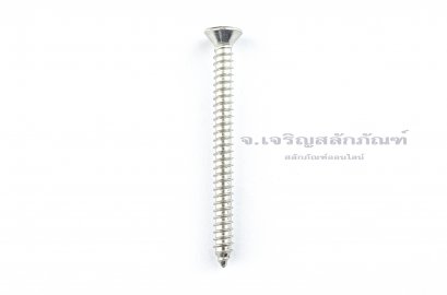 สกรูเกลียวปล่อยสแตนเลสหัวเตเปอร์แฉก #12x2.1/2&quot; (5.3x63 mm)