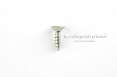 สกรูเกลียวปล่อยสแตนเลสหัวเตเปอร์แฉก M3.5x12