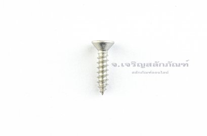 สกรูเกลียวปล่อยสแตนเลสหัวเตเปอร์แฉก M3.5x16