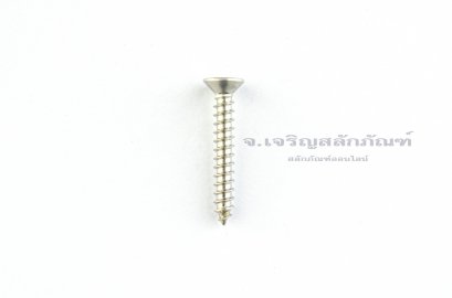 สกรูเกลียวปล่อยสแตนเลสหัวเตเปอร์แฉก M3.5x25