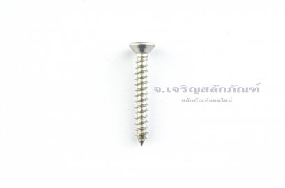 สกรูเกลียวปล่อยสแตนเลสหัวเตเปอร์แฉก M3.5x30