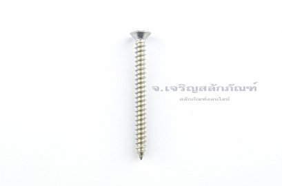 สกรูเกลียวปล่อยสแตนเลสหัวเตเปอร์แฉก M3.5x40