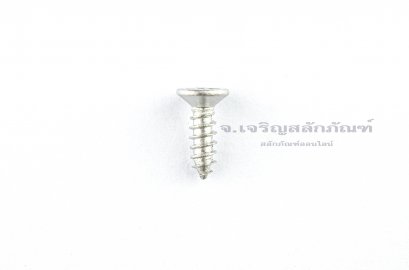 สกรูเกลียวปล่อยสแตนเลสหัวเตเปอร์แฉก M3x10