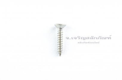 สกรูเกลียวปล่อยสแตนเลสหัวเตเปอร์แฉก M3x16