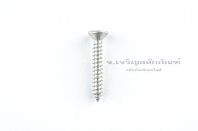 สกรูเกลียวปล่อยสแตนเลสหัวเตเปอร์แฉก M3x20