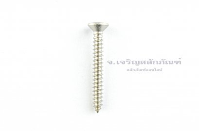 สกรูเกลียวปล่อยสแตนเลสหัวเตเปอร์แฉก M3x25