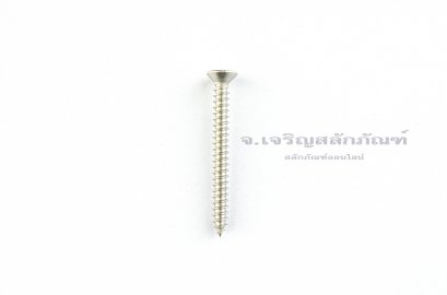 สกรูเกลียวปล่อยสแตนเลสหัวเตเปอร์แฉก M3x30