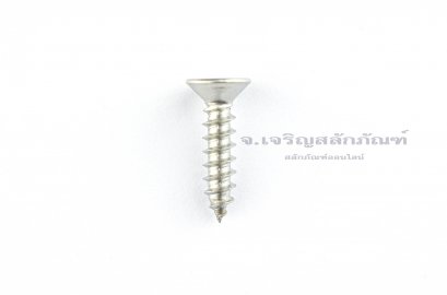 สกรูเกลียวปล่อยสแตนเลสหัวเตเปอร์แฉก M4.5x20