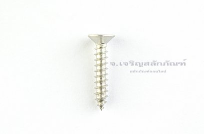 สกรูเกลียวปล่อยสแตนเลสหัวเตเปอร์แฉก M4.5x25