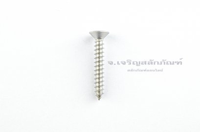 สกรูเกลียวปล่อยสแตนเลสหัวเตเปอร์แฉก M4.5x30