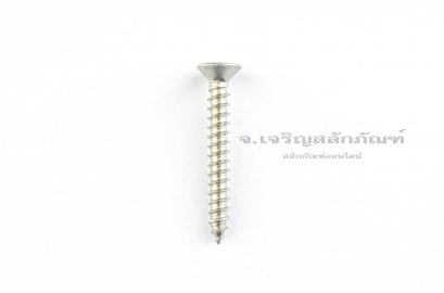 สกรูเกลียวปล่อยสแตนเลสหัวเตเปอร์แฉก M4.5x35