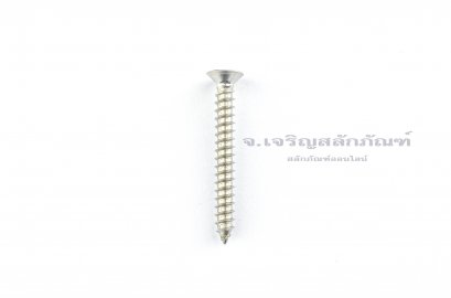 สกรูเกลียวปล่อยสแตนเลสหัวเตเปอร์แฉก M4x35