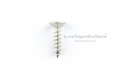 สกรูเกลียวปล่อยสแตนเลสหัวเตเปอร์แฉก M5x20