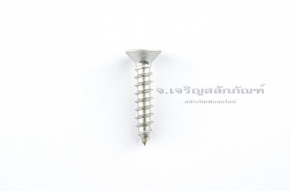 สกรูเกลียวปล่อยสแตนเลสหัวเตเปอร์แฉก M5x25