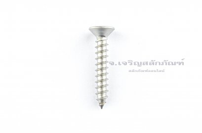 สกรูเกลียวปล่อยสแตนเลสหัวเตเปอร์แฉก M5x30